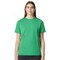 Soft Adult Comfortable Crewneck Short Sleeve T-Shirt for Everyday Wear & Custom Printing Tee